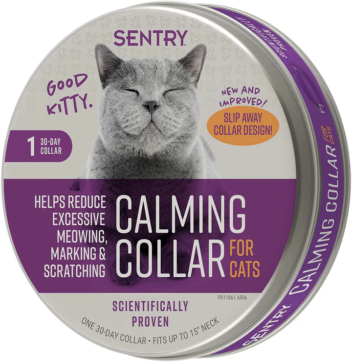 Cat Anxiety & Calming